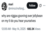 why are n----- gooning over jellybean on my tl do you hear yourselves