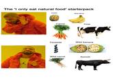 The 'I only eat natural food' starterpack Corn Banana AIR Carrot Cow Teosinte Wild banana Wild carrot Auroch