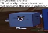Physicists are like: "To simplify calculations, we will assume the cat is cubical." L