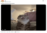X user @beanndsi posted a clip of Rigby the cat making a funny face, writing, "pretty fond of this guy," and gathering over 150,000 likes in a month.