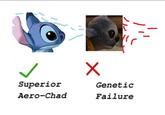 115 Superior Genetic Aero-Chad Failure