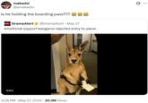 makadsi @amakadsi Is he holding the boarding pass??? DramaAlert @DramaAlert May 27 Emotional support kangaroo rejected entry to plane. 0:01 3:28 PM. May 27, 2025 20.3M Views
