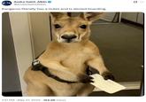 Andre Saint-Albin @AndreSaintAlbin Kangaroo literally has a ticket and is denied boarding. 1:51 PM - May 27, 2025 - 164.9K Views 10