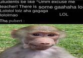 students be like "Umm excuse me teacher! There is some gaahaha lo Lololol lolz aha gagaga lololmao The pubert: LOL