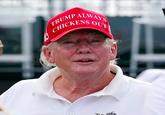 Trump Always Chickens Out , t.a.c.o