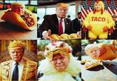 TACO COURIER