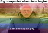 It's that time of the year | /r/memes Big companies when June begins I am once again gay.
