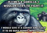 IF I MET A GORILLA, I WOULDN'T TRY TO FIGHT IT I WOULD GIVE IT A CARROT AND TEACH IT TO DO BUGS BUNNY IMPRESSIONS
