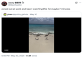 X user @Westhoefen reposted the video of two flamingos walking down a beach only to get knocked over by a wave, writing, "zoned out at work and been watching this for maybe 7 minutes."