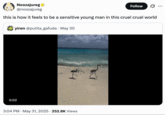 X user @noozajureg reposted the video of two birds walking down a shoreline and falling over after being pushed by a wave. The post gathered over 13,000 likes in two days.