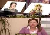 A version of the "they're the same picture":https://knowyourmeme.com/memes/theyre-the-same-picture meme. The meme is about Hunter Schafer playing Princess Zelda.