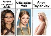 A race swapped Zelda A Biological Male Anya Taylor-Joy YORCH TORCH GAMES