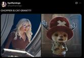 CHOPPER IS CAT GRANT?? hyoflamingo @hyoflamingo CHOPPER IS CAT GRANT?? am 0 W
