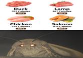 Duck 337 Calories 100 g Lamp 267 Calories 100 g Chicken 239 Calories 100 g Salmon 206 Calories 100 g