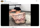 X user @lherealchieff reposted @Infrababy's "Horses don't stop tattoo," incorrectly attributing it to Justin Beiber. The post gathered over 5 million views in two months.