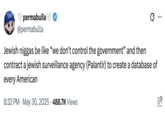 Evidence of conservative and right-leaning X users criticizing Trump for supposedly enlisting Palantir to create a national citizenship database. The post reads, "Jewish n----- be like “we don’t control the government” and then contract a jewish surveillance agency (Palantir) to create a database of every American."