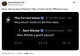 X user @theliamnissan wrote, "Keep talking about Palantir, folks. It's driving the MAGAts crazy" alongside a screenshot that read, "Was MAGA a giant psyop?"