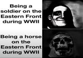 Being a soldier on the Eastern Front ( during WWII Being a horse on the Eastern Front during WWII