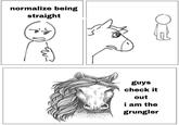 normalize being straight guys check it out i am the grungler