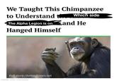 We Taught This Chimpanzee to Understand Which side The Alpha Legion is on and He Hanged Himself Full story: thehardtimes.net made with mematic