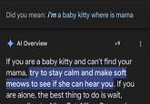 Did you mean: i'm a baby kitty where is mama Al Overview +9 If you are a baby kitty and can't find your mama, try to stay calm and make soft meows to see if she can hear you. If you are alone, the best thing to do is wait,