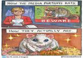HOW THE MEDIA PORTRAYS RATS. BEWARE How THEY ACTUALLY ARE. KAGUE ❤ko-fi.com/kagoe @RHIANNON KAGGE