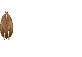 A faster, sped-up version of th Fat Horse GIF or Spinning Horse GIF, which was share to Tumblr in 2021.