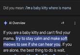 Did you mean: i'm a baby kitty where is mama Al Overview +9 If you are a baby kitty and can't find your mama, try to stay calm and make soft meows to see if she can hear you. If you are alone, the best thing to do is wait,