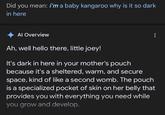 Did you mean: i'm a baby kangaroo why is it so dark in here Al Overview Ah, well hello there, little joey! It's dark in here in your mother's pouch because it's a sheltered, warm, and secure space, kind of like a second womb. The pouch is a specialized pocket of skin on her belly that provides you with everything you need while you grow and develop.