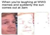 When you're laughing at WW3 memes and suddenly the sun comes out at 3am declaration of memes