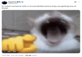 Psynsei 梁东邊 @Psynsei If I catch someone with a Trump Mobile phone they are getting one of these: II GIF ALT 11:10 AM Jun 16, 2025 115.4K Views
