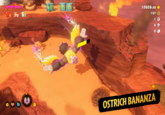10 12629.30 137 1 0 OSTRICH BANANZA 0