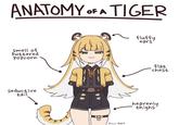 ANATOMY OF A TIGER Smell of buttered Popcorn seductive tail Pixiv AA7 fluffy ears' flat chest heavenly thighs