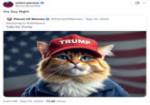 A "quote-tweet":https://knowyourmeme.com/memes/quote-retweets-qrts making fun o an "AI image":https://knowyourmeme.com/memes/cultures/ai-art of a "Cat for "Trump":https://knowyourmeme.com/memes/people/donald-trump" from the "Donald Trump Cat and Duck AI Images":https://knowyourmeme.com/memes/donald-trump-cat-and-duck-ai-images based on the "Haitian Immigrants Eating Pets and Geese Hoax":https://knowyourmeme.com/memes/events/haitian-immigrants-eating-pets-and-geese-hoax.