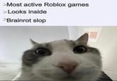 A meme reacting to the popularity of steal a brainrot. The meme calls it brainrot slop.