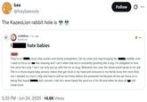 KazeoLion post about hating babies.