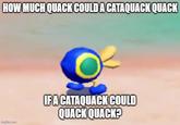 HOW MUCH QUACK COULD A CATAQUACK QUACK imgflip.com IF A CATAQUACK COULD QUACK QUACK?