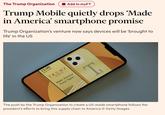 yet another project that falls quickly like everything Trump does