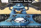 Brother help I must scratch my testicales