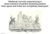 Medieval convicts experiencing a short moment of perfect stretching before their spine and limbs are completely destroyed: imgflip.com