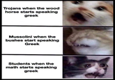 Trojans when the wood horse starts speaking greek Mussolini when the bushes start speaking Greek Students when the math starts speaking greek