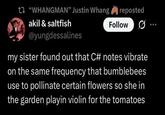 t "WHANGMAN" Justin Whang akil & saltfish @yungdessalines reposted Follow ... my sister found out that C# notes vibrate on the same frequency that bumblebees use to pollinate certain flowers so she in the garden playin violin for the tomatoes