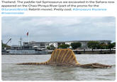 Thailand: The paddle-tail Spinosaurus we excavated in the Sahara now appeared on the Chao Phraya River (part of the promo for the @Jurassic World: Rebirth movie). Pretty cool. #dinosaurs #science #rivermonster