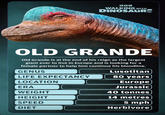 BBC WALKING WITH DINOSAURS OLD GRANDE Old Grande is at the end of his reign as the largest giant ever to live in Europe and is looking for a female partner to help him continue his bloodline. GENUS LIFE EXPECTANCY LOCATION Lusotitan 80 years Europe Jurassic 40 tonnes ERA WEIGHT HEIGHT 14 metres SPEED 5 mph DIET Herbivore