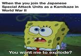 When the you join the Japanese Special Attack Units as a Kamikaze in World War II You want me to explode?