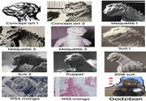 T 『ゴジ のだ。双方の図 してアジア文明 様、怪獣は南か ってくるのだ! われる。怪物は やクジラのバ Concept art 1 Concept art 2 Maquette 1 Maquette 2 Maquette 3 Suit 1 Suit 2 CHWE Puppet こちらは 「いへんだ! いぶつがに 2018 suit k 1954 manga 1955 manga Godziban