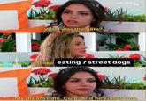 A meme based on a scene from Love Island U.S. season 7. In the meme Iris tells Huda that she went on a date to eat 7 street dogs. Huda responds, "My dream date. Cute. And he knows that."