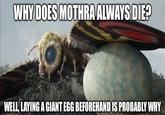 WHY DOES MOTHRA ALWAYS DIE? WELL, LAYING A GIANT EGG BEFOREHAND IS PROBABLY WHY