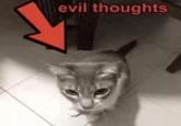 evil thoughts