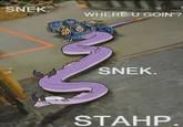 SNEK WHERE U GOIN'? SNEK. STAHP.